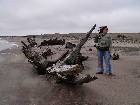 Shipwreck on Skeleton Coast